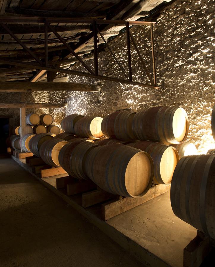 Maison Le Sepe - Vignoble Bio Et Maison D'Hotes Sainte-Radegonde  Eksteriør bilde