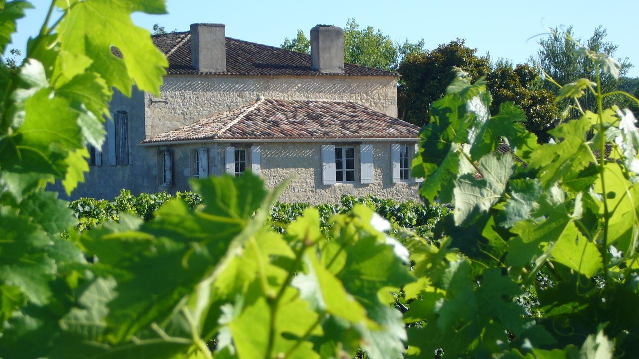 Maison Le Sepe - Vignoble Bio Et Maison D'Hotes Sainte-Radegonde  Eksteriør bilde