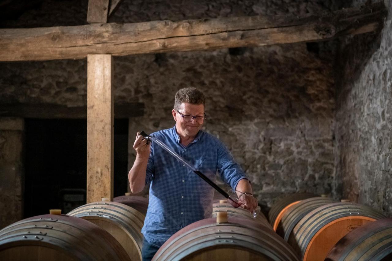 Maison Le Sepe - Vignoble Bio Et Maison D'Hotes Sainte-Radegonde  Eksteriør bilde